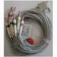 Cable EKG, 15 Pin. Conector con tornillo fijo, 10 leads, HP / Phillips